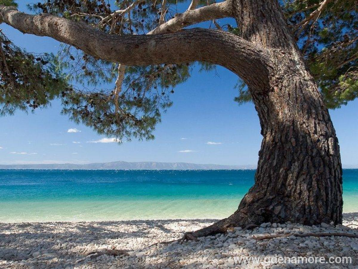 Apartmani Ursić, privatni smeštaj u mestu Brela, Hrvatska - Plaža - onako, ima hlada 